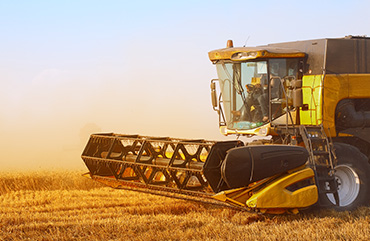The future is bright, the future is farming.