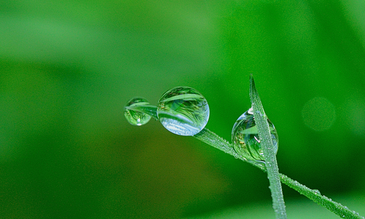 Sustainability