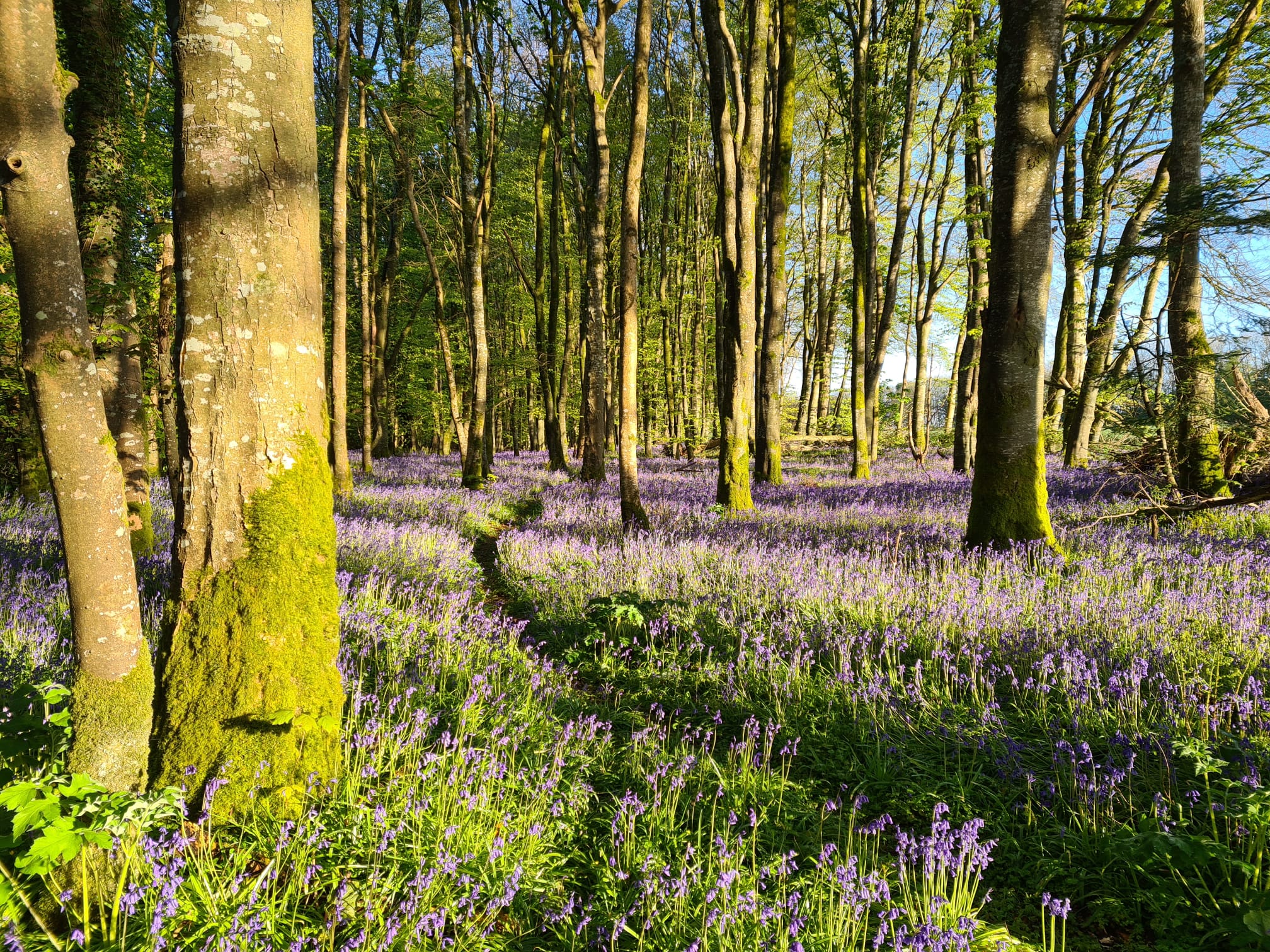 Biodiversity – an ongoing commitment
